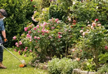 LINETRIMMER-RECOURCES-e1744152410646-365x250