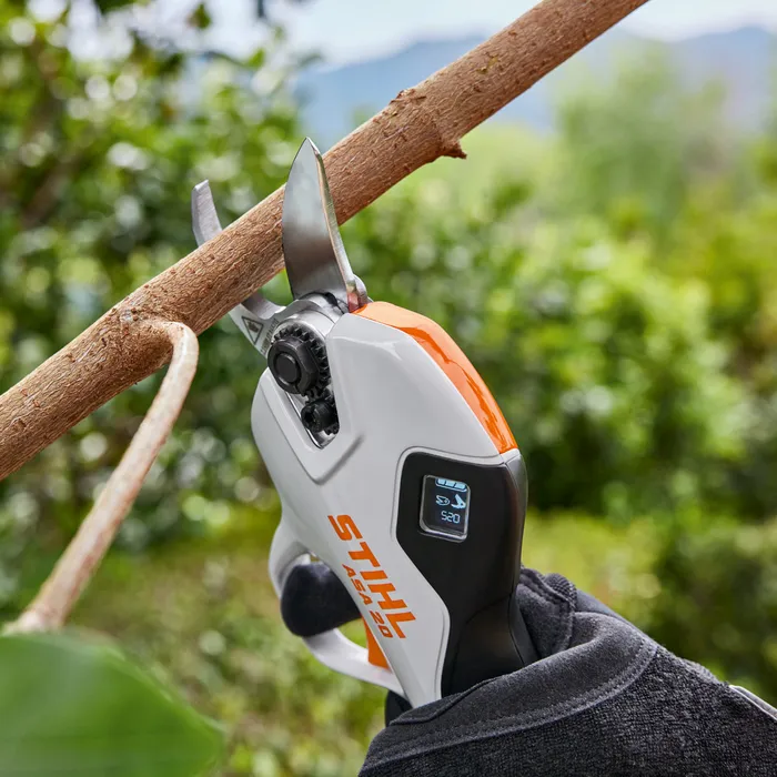 asa_20_pruning_in_use_2